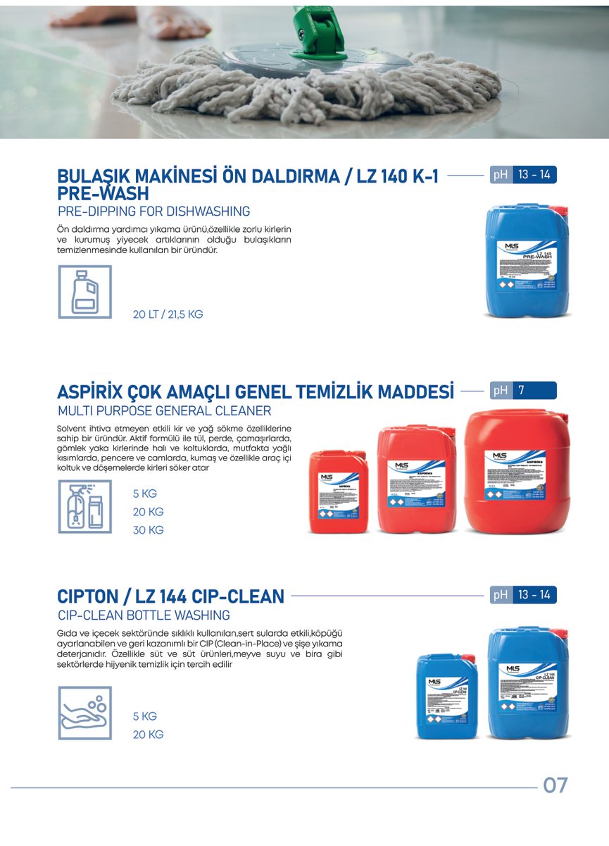 Katalog örnek sayfa: yüzey temizleyiciler